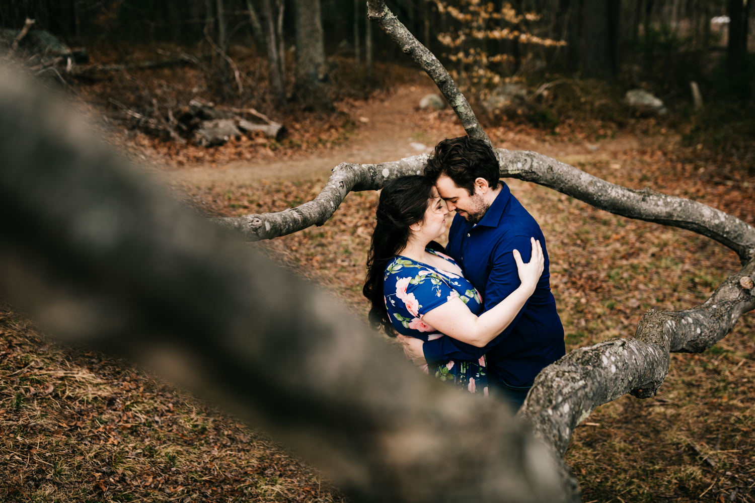 Husband and wife embracing in tree in forest near Boston