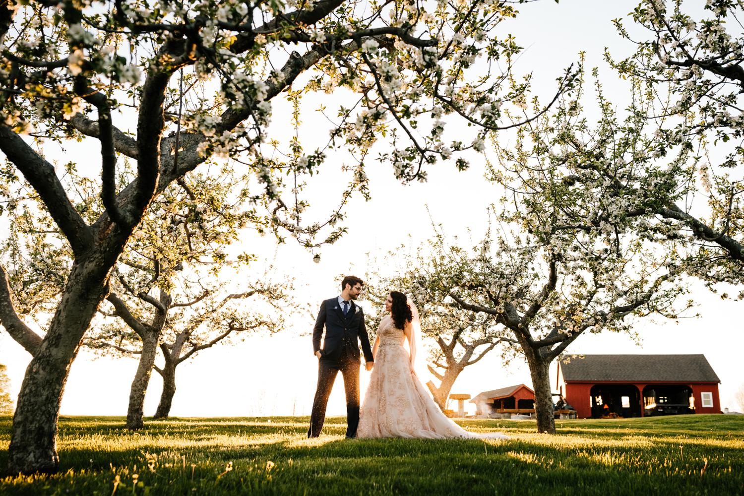 Bride and groom in tree field in Santa Fe