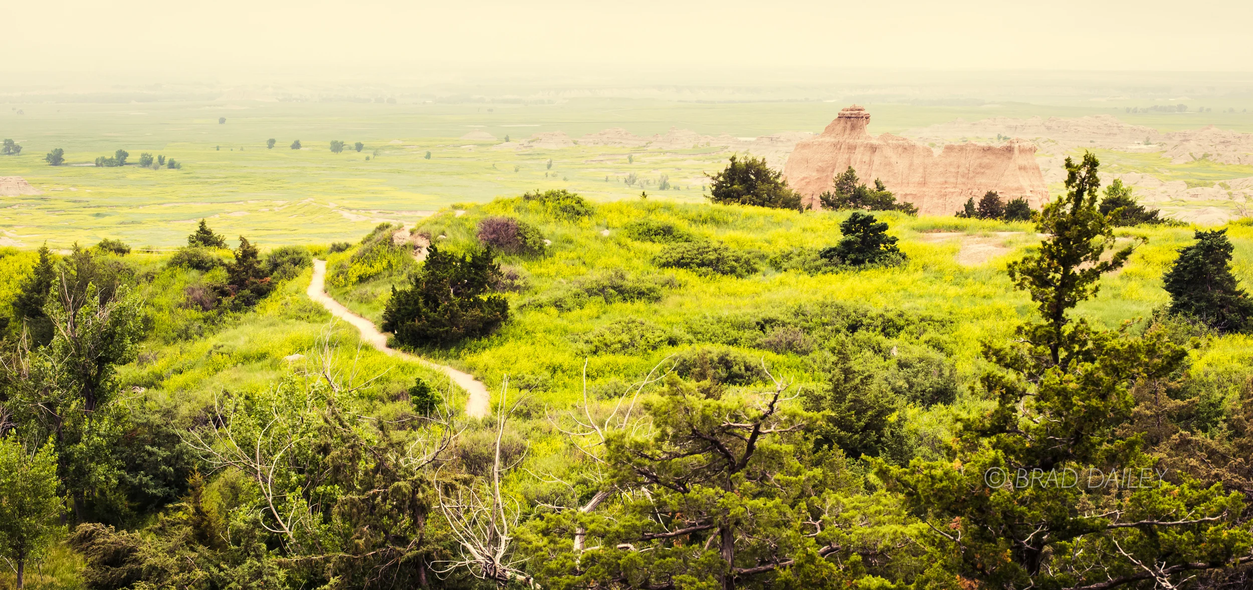 BADLANDS Original Raw5.jpg