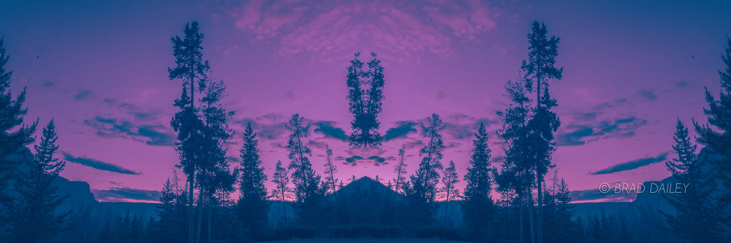 Yellowstone5.jpg