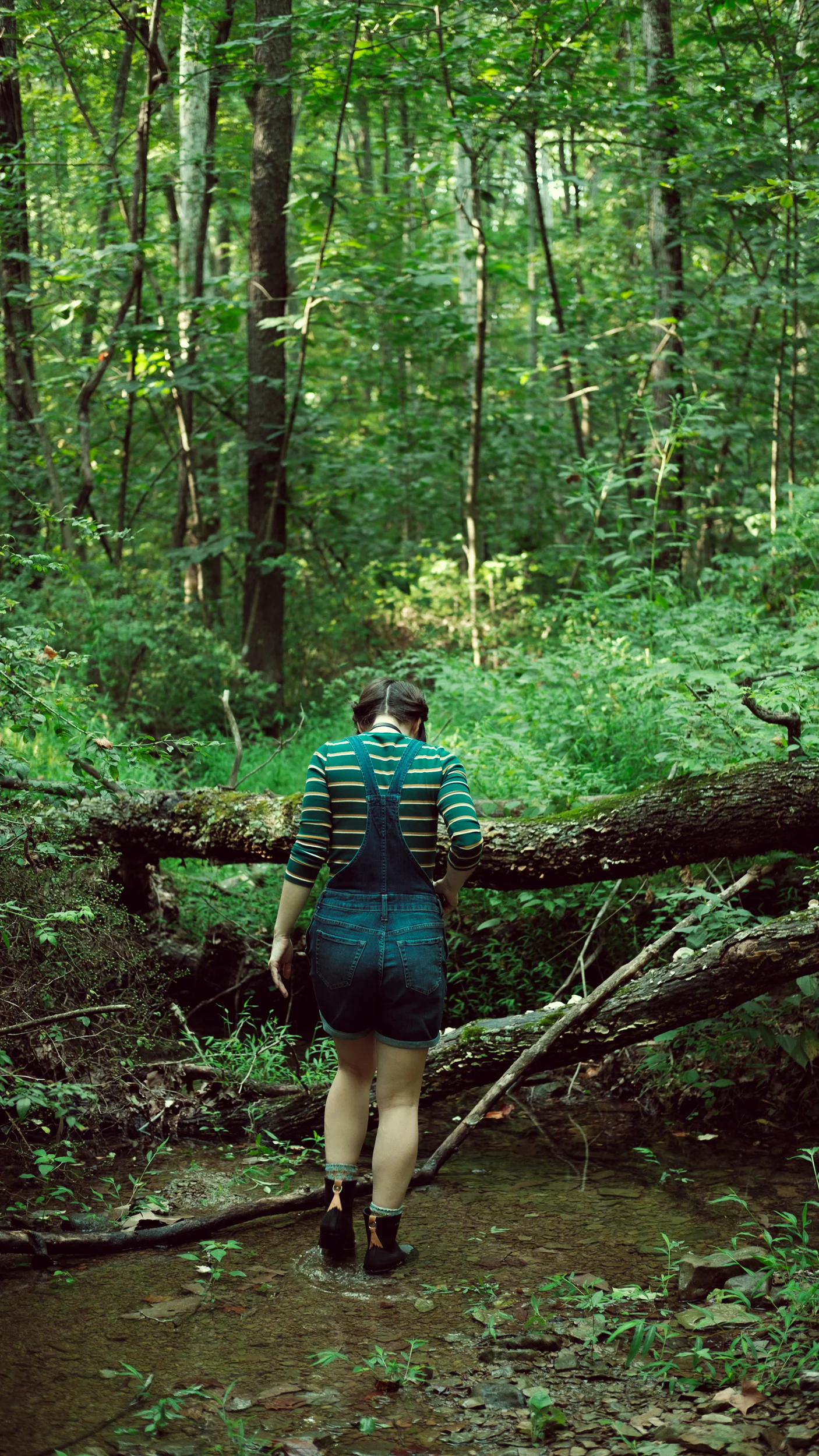  Most of my favorite things. 