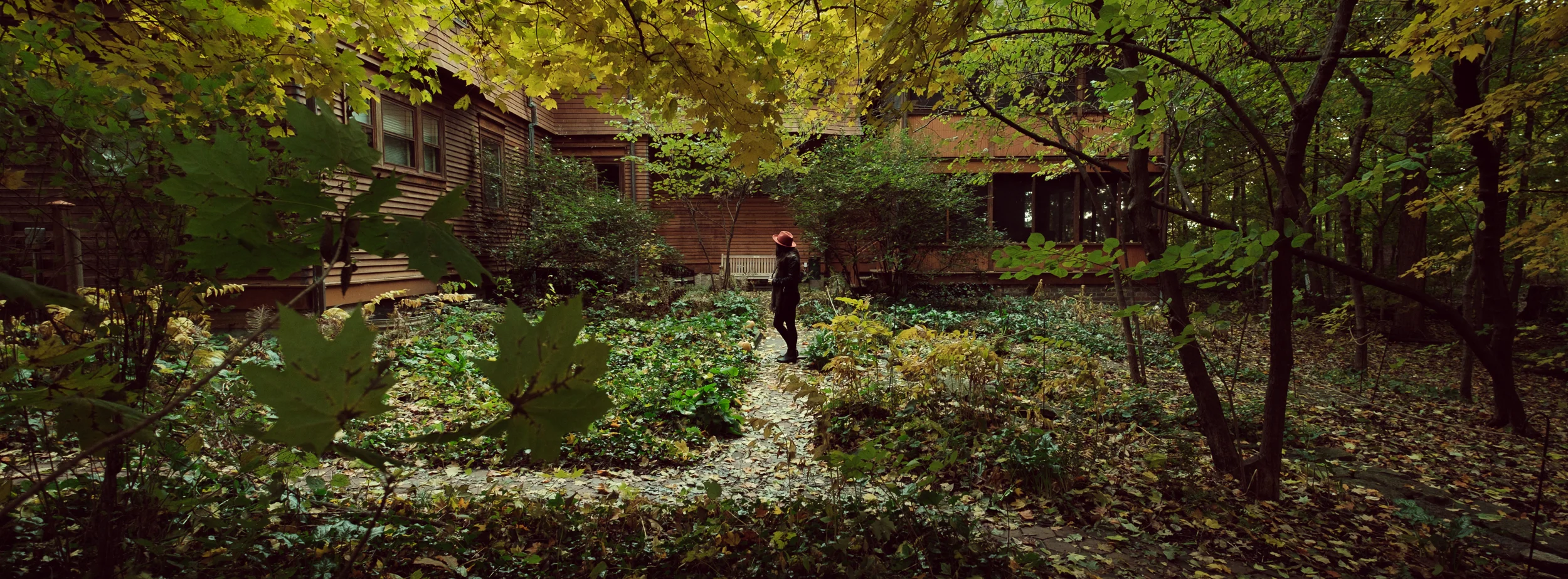  Fall in the Courtyard. 