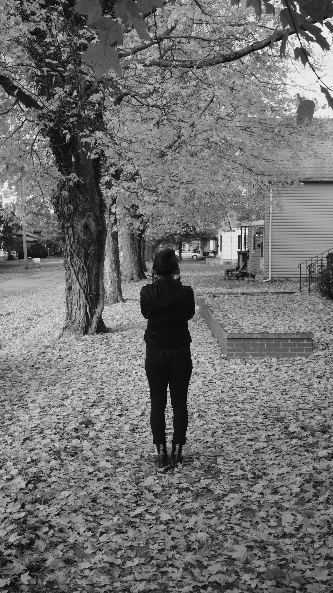  The adjacent neighborhood is looking very Fall. 