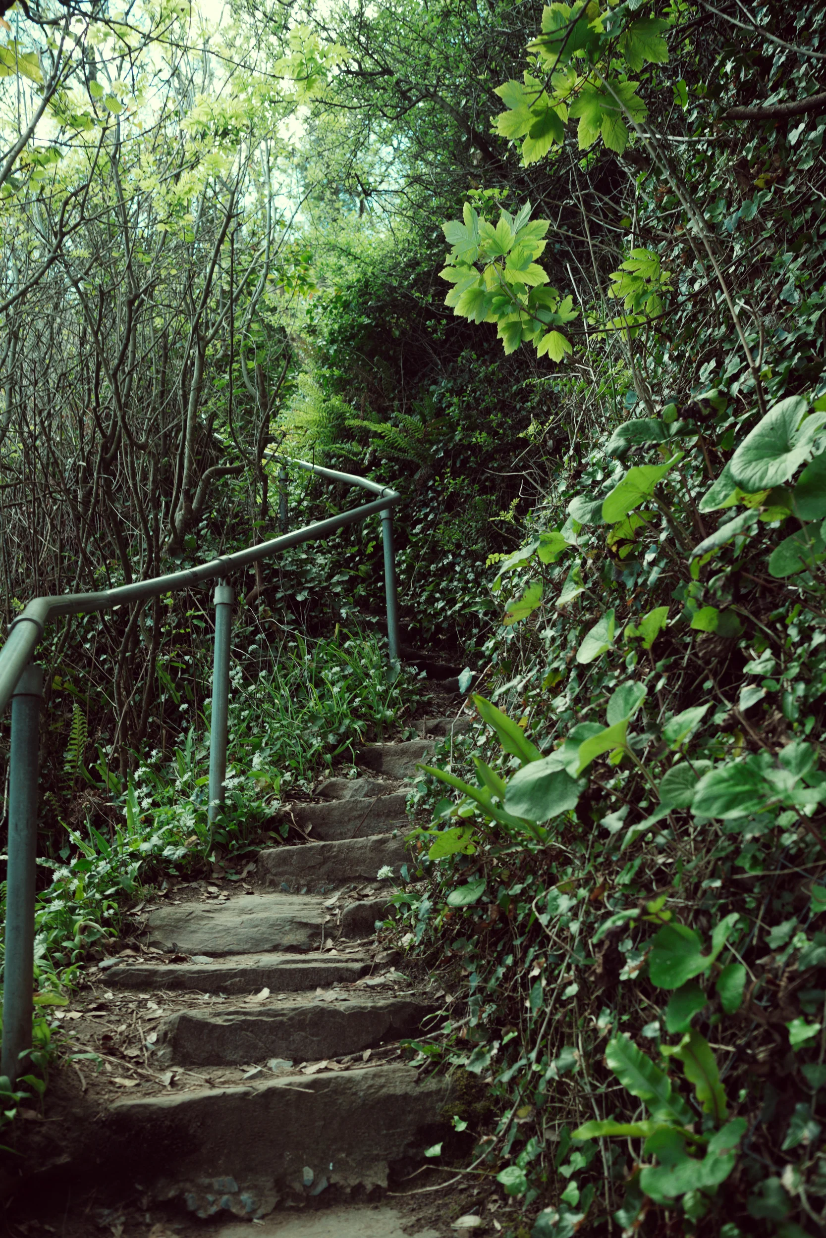  The Wales Coast Path takes many forms, but this might have been my favorite, aesthetically. 