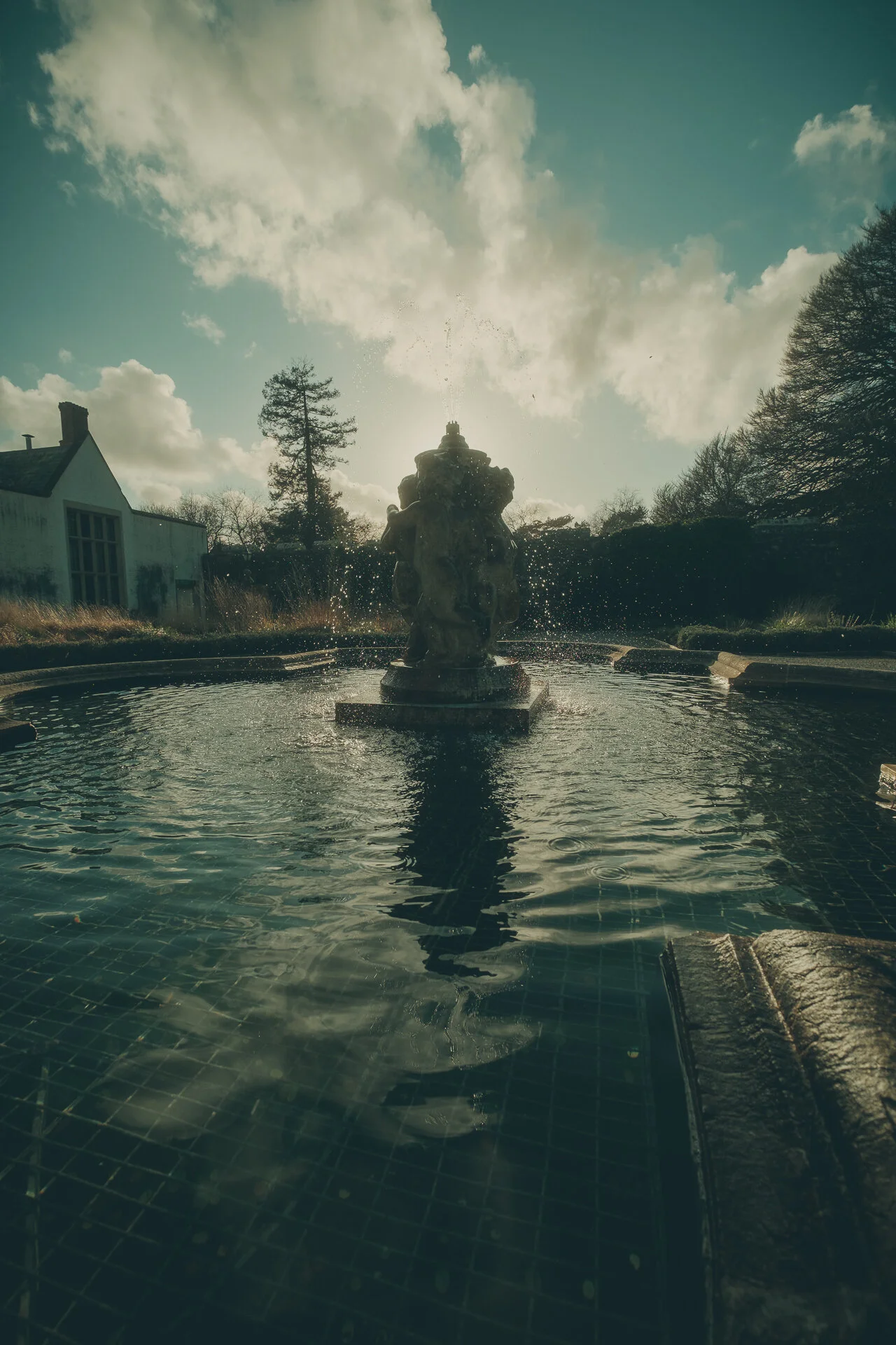 braddailey-36.JPG