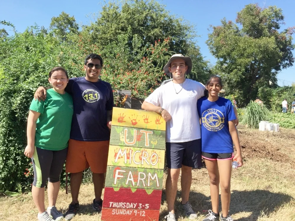 UT Microfarm Cleanup