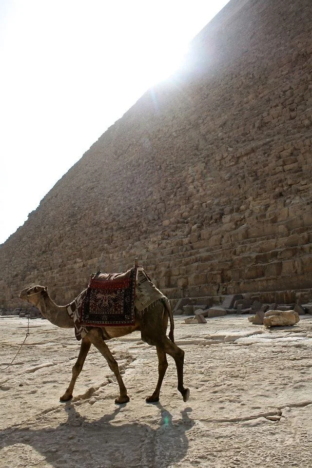 Giza, Egypt.