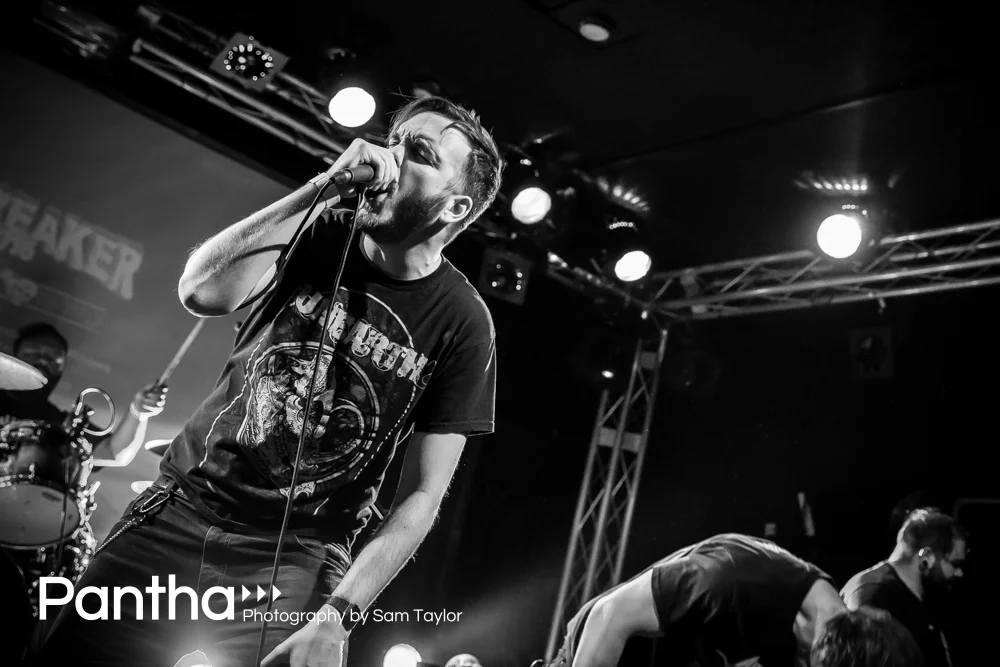 belligerence-1-11.JPG