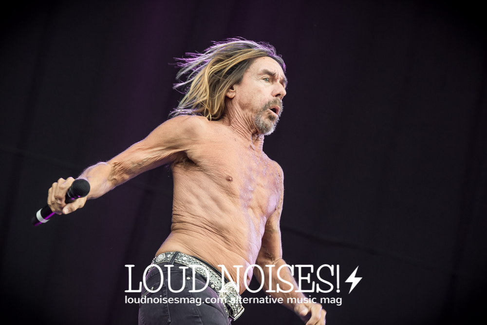 iggy pop-6.JPG