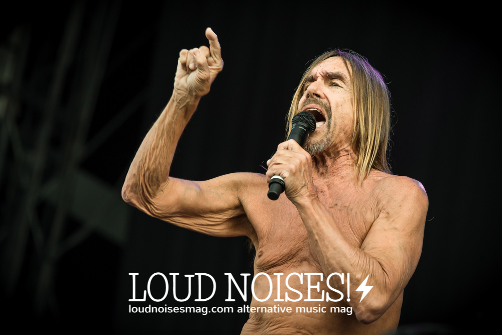 iggy pop-20.JPG