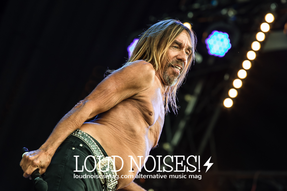 iggy pop-24.JPG