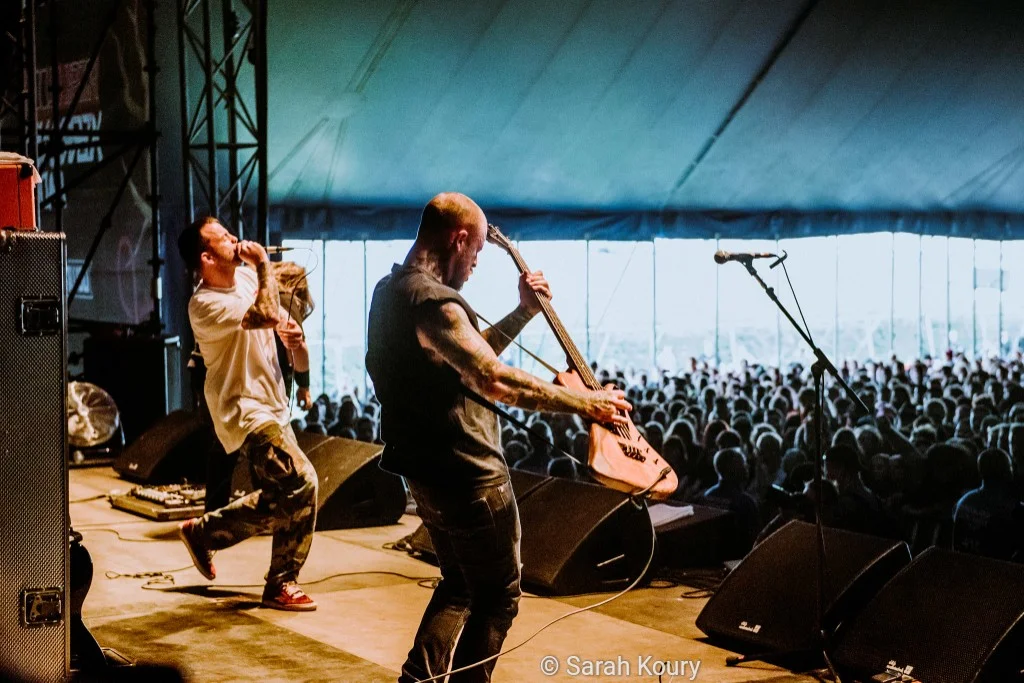 Cancer Bats