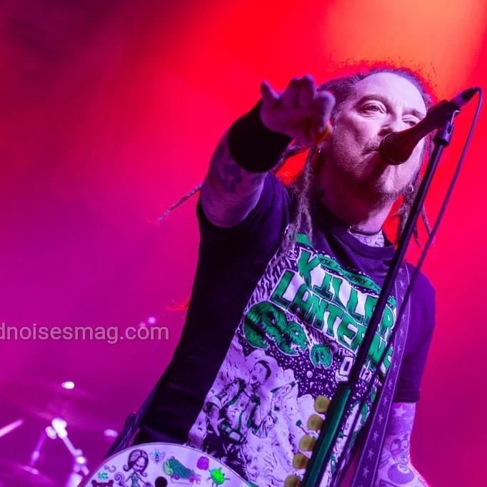 #wildhearts