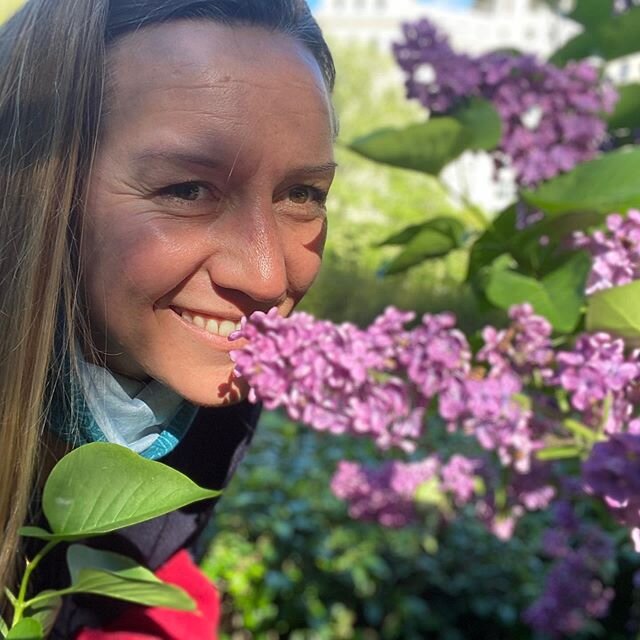 I walked back into the lilac bushes so I could stop take off my mask and smell the sweetest scent. Life works this way: these flowers bloom for such a short period, if you don&rsquo;t slow down and pause you&rsquo;ll miss them. Miss a little piece of