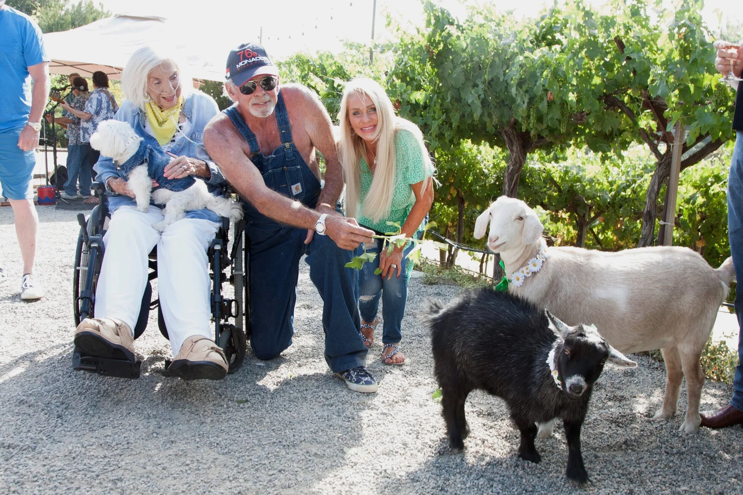 Lunch with the Wine Goats — Newport Beach Vineyards & Winery