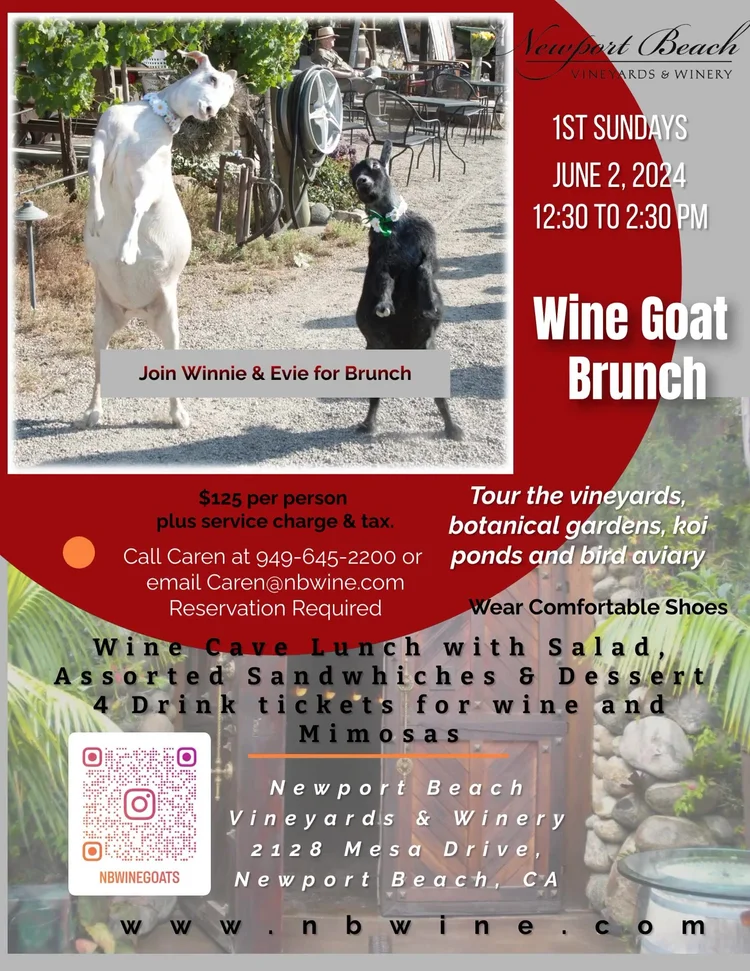 Wine Goat Brunch — Newport Beach Vineyards & Winery
