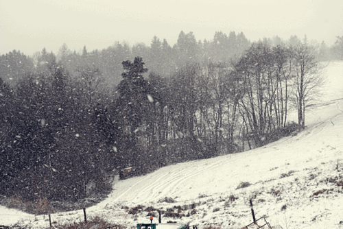 Snow.gif