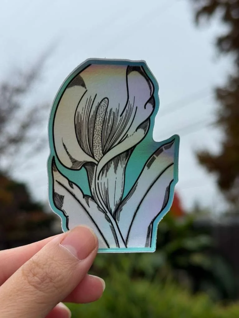 Calla Lily.jpg