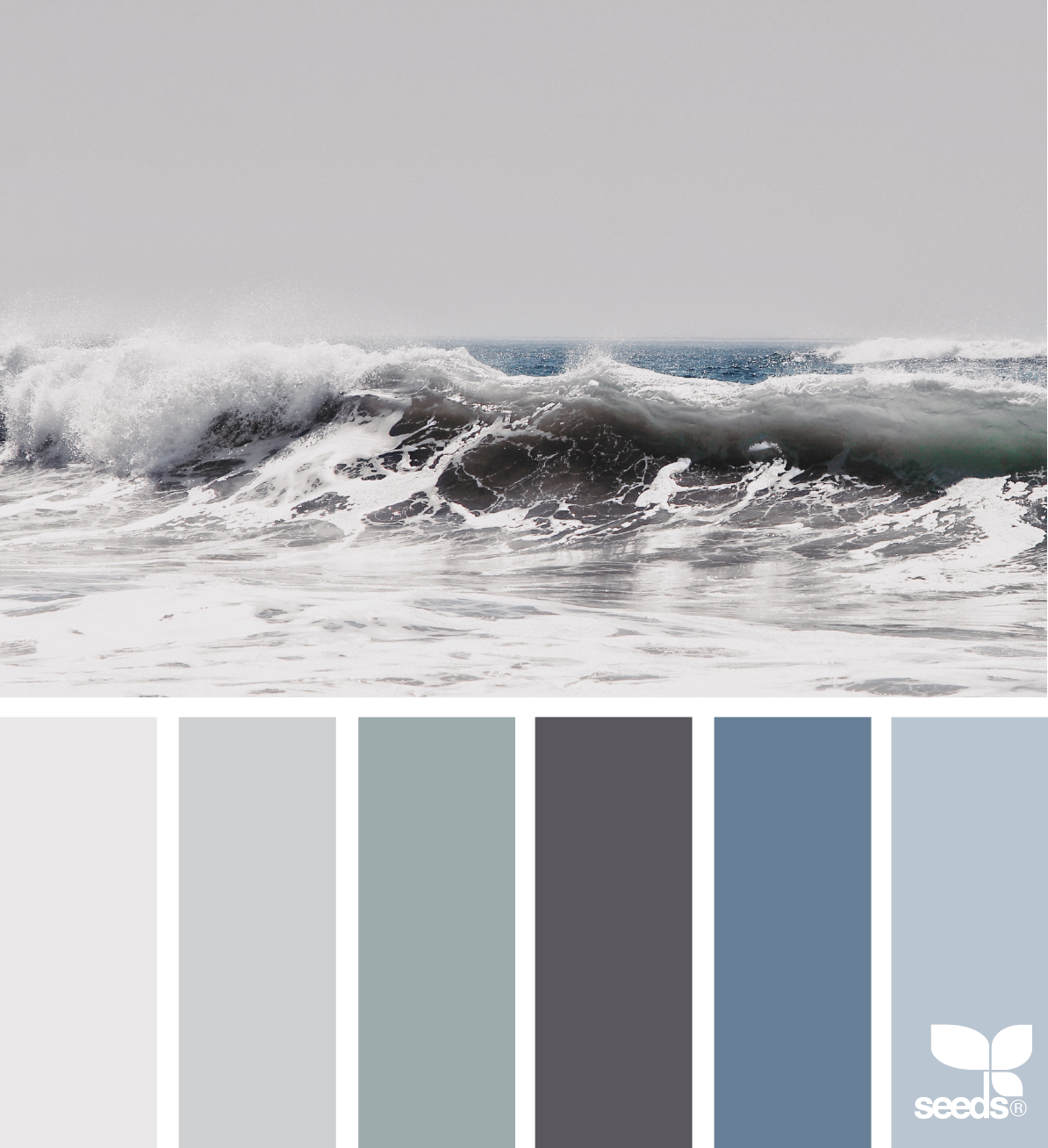 Color Palette via Design-Seeds | Photo by @LBTOMA