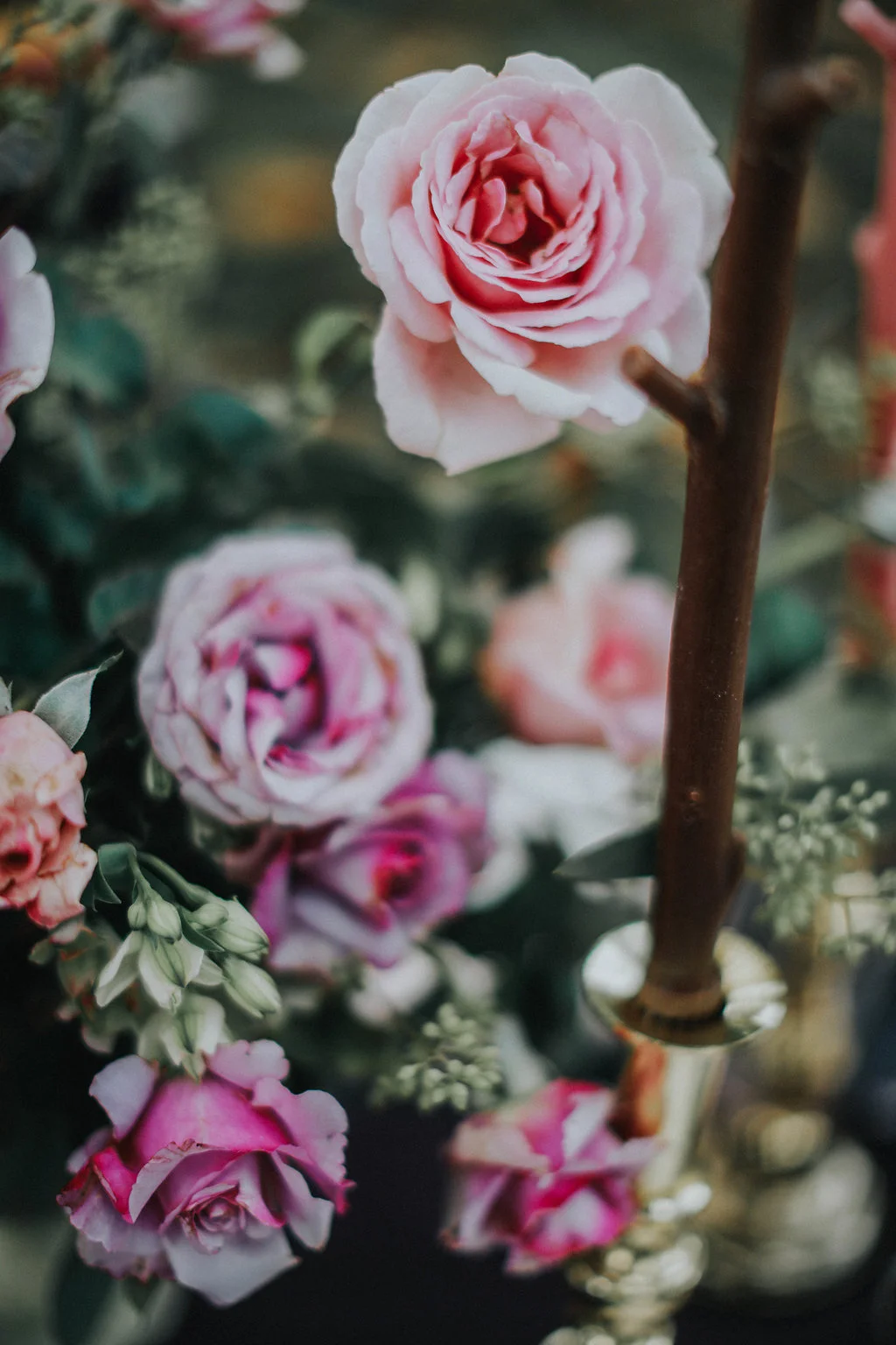 WhitneyNicholsPhotography-8254.jpg