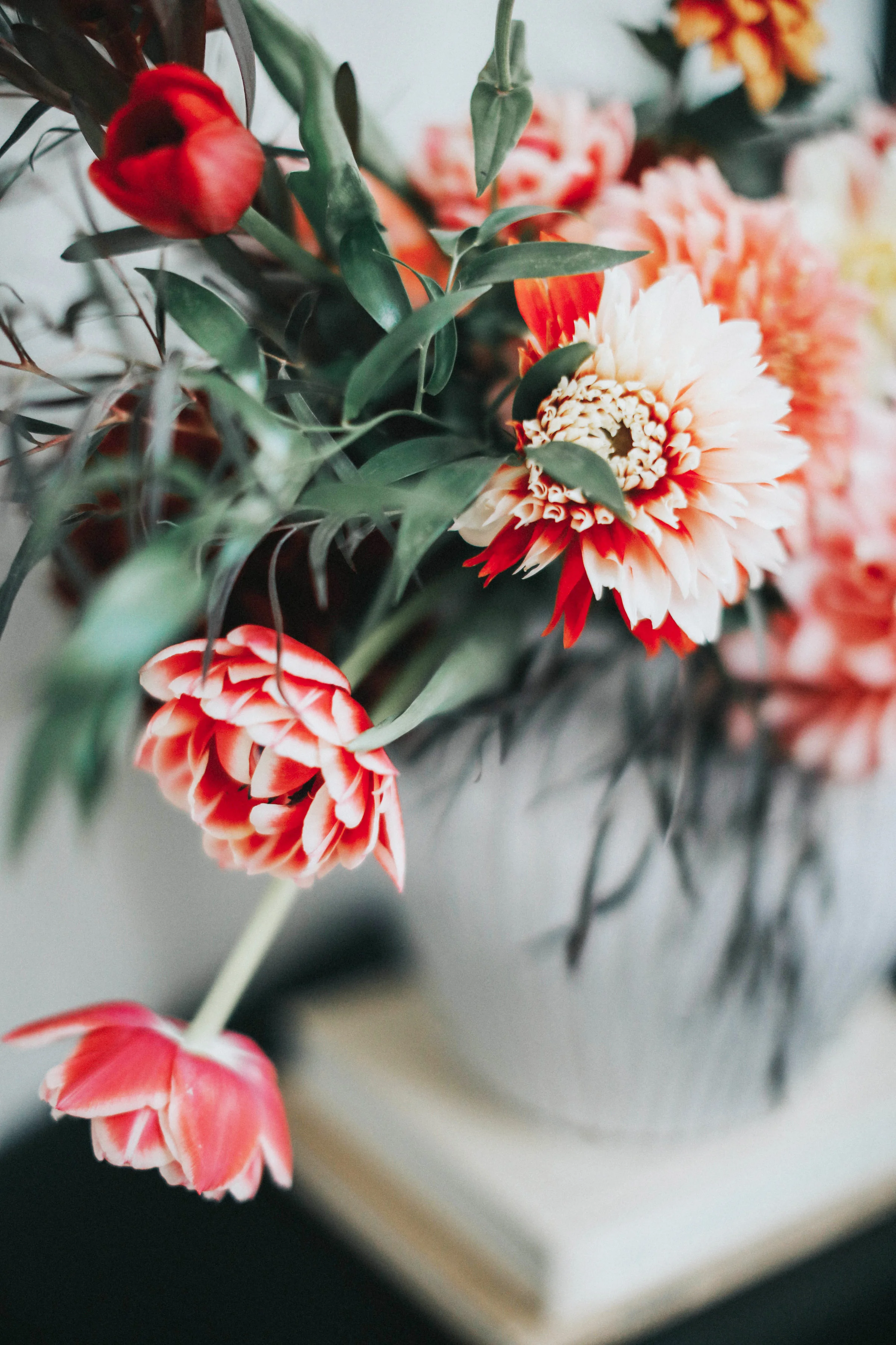 WhitneyNicholsPhotography-6174.jpg