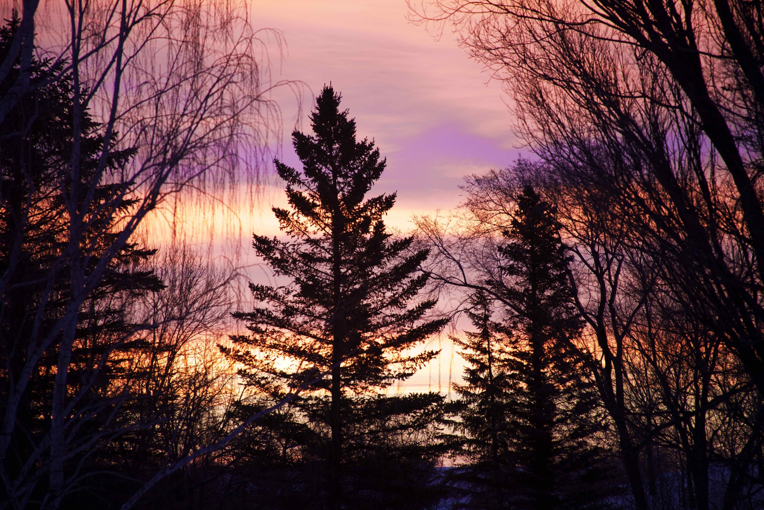  The darkness gives way to light.......