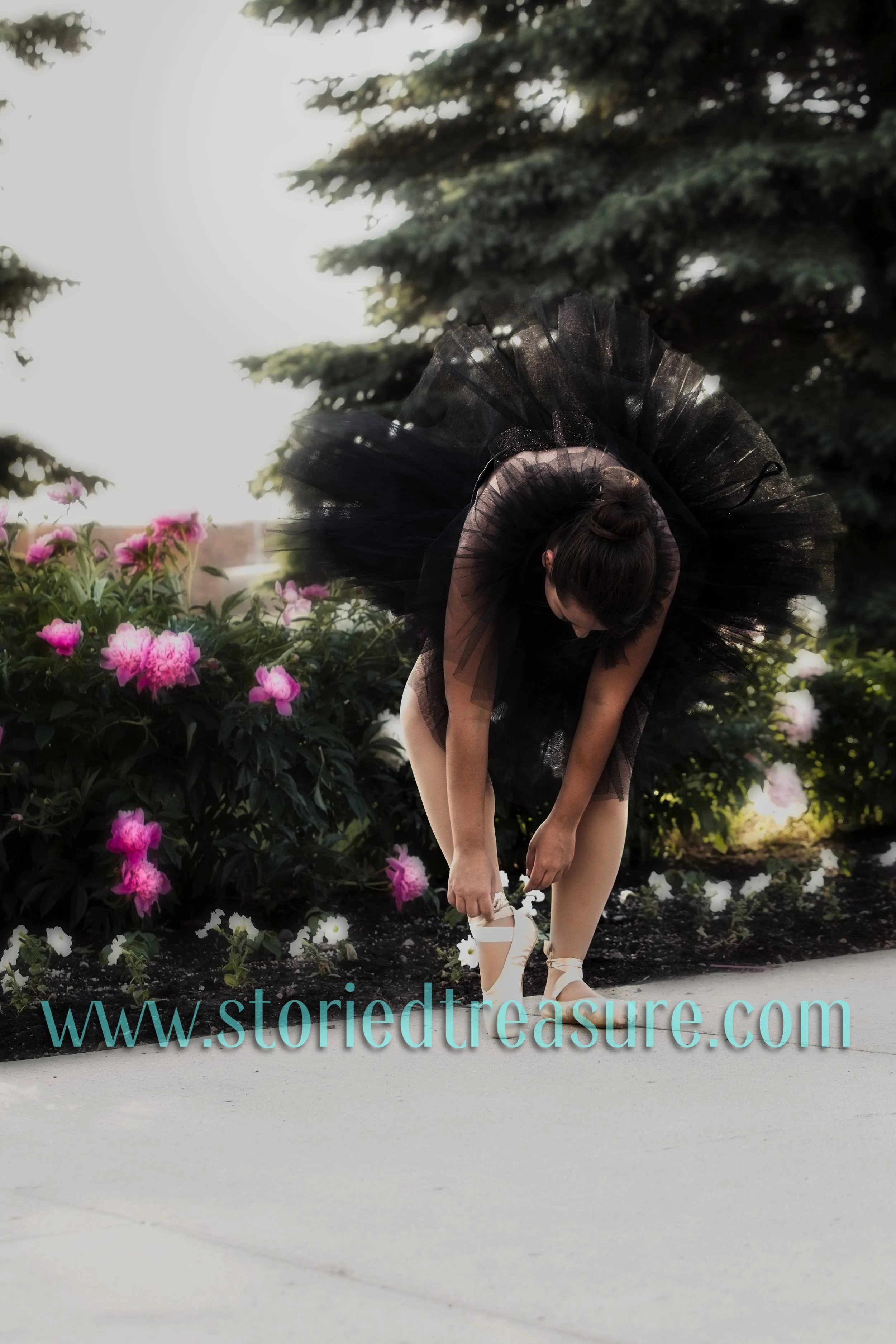 Has pointe shoes, will travel