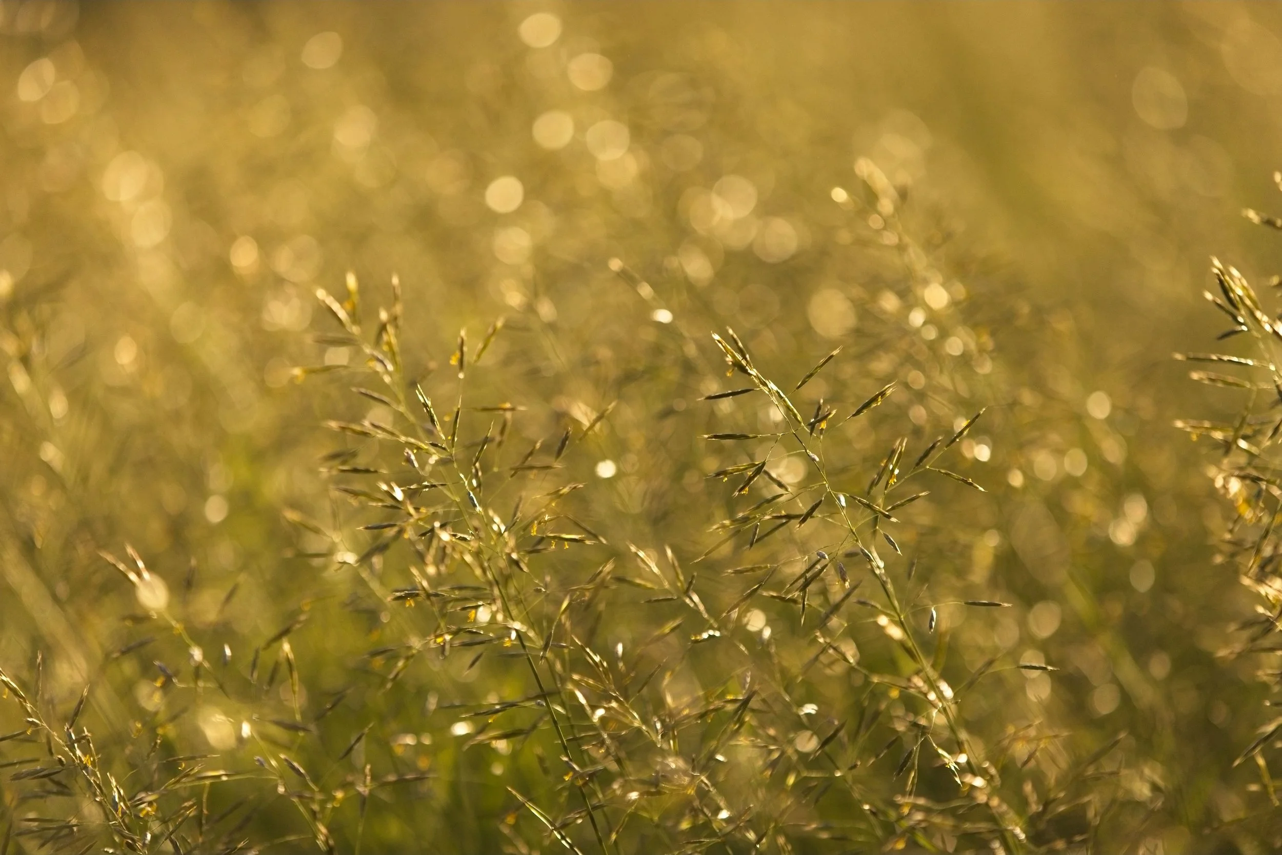 Lessons from The Intention Project