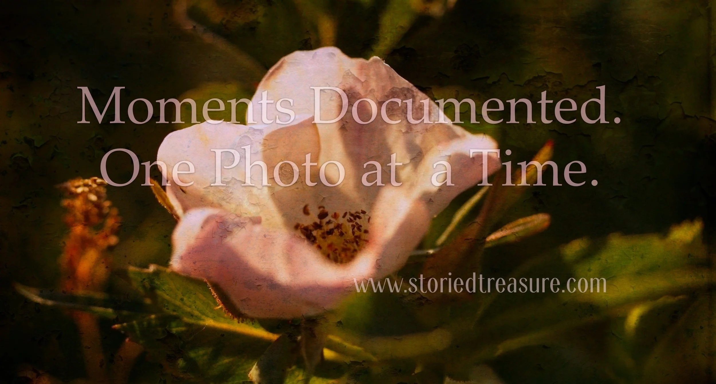 MomentsDocumented.jpg