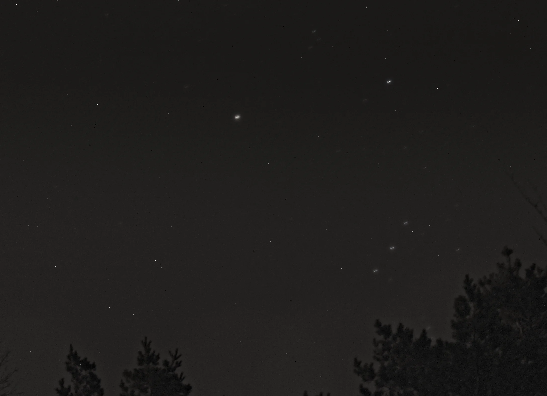 Day 350 copy1.jpg