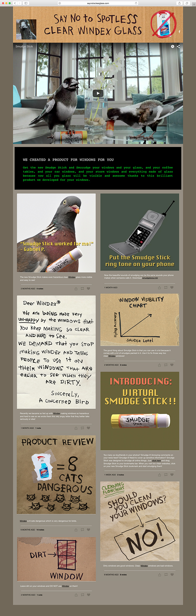 tumblr_birds.jpg