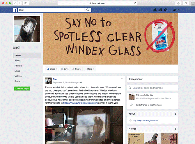 facebook_birds.gif