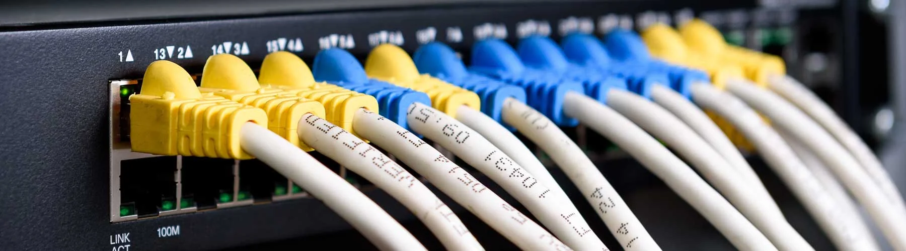 voice-cable.jpg