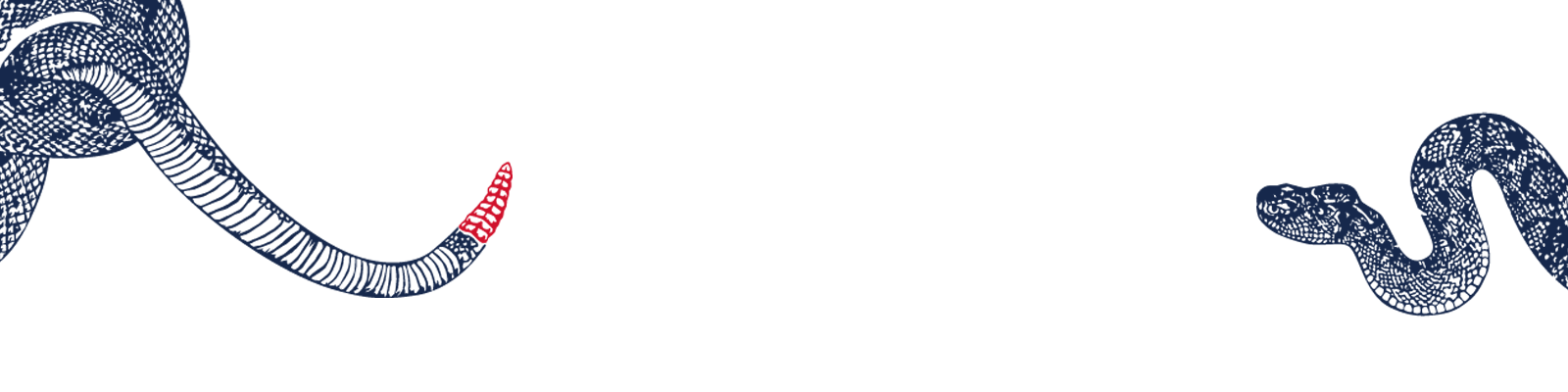 banner.png