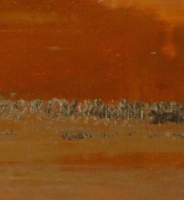 DSC_0013.jpeg