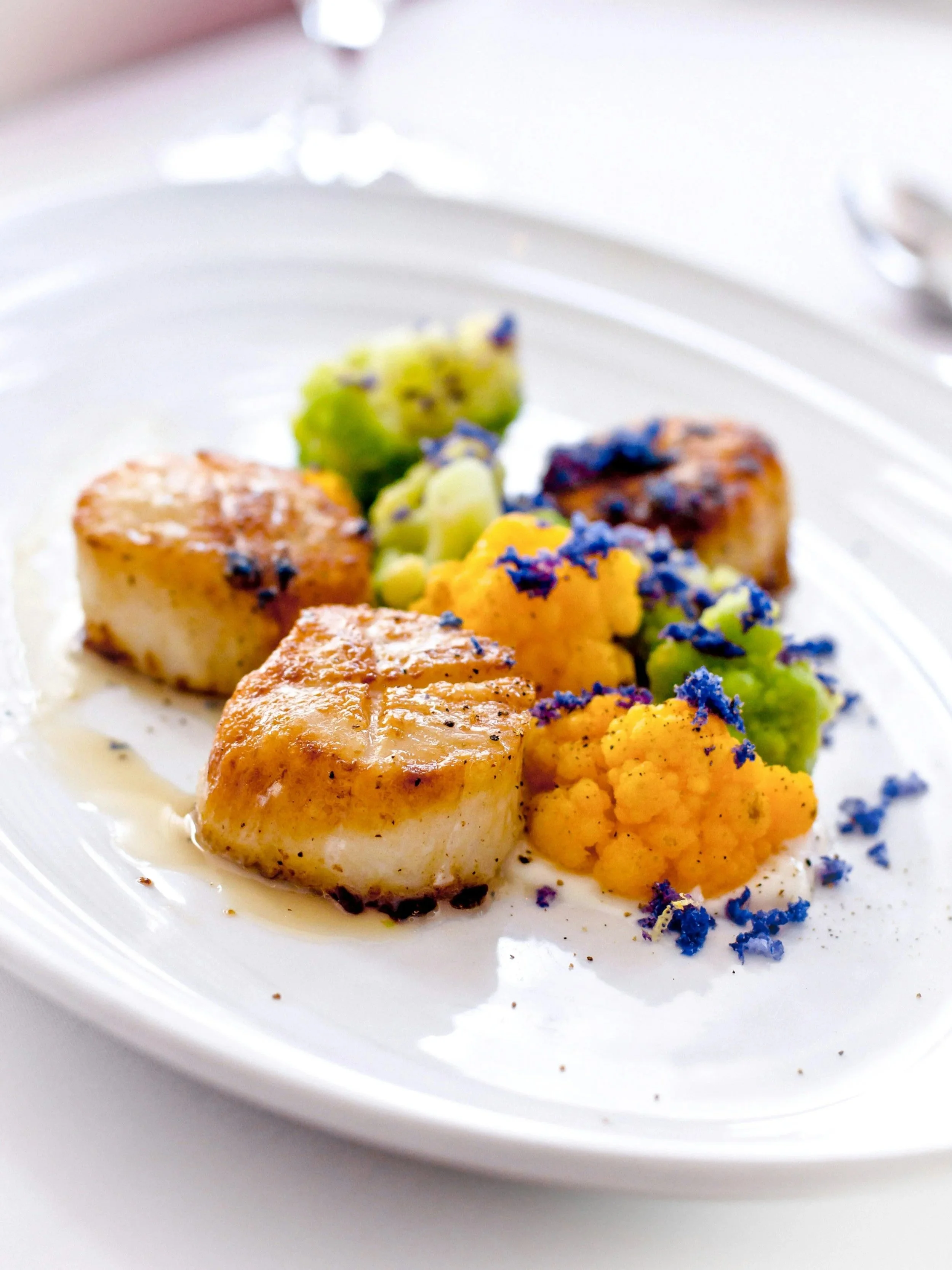 connie-perez-V6RjrMC15iw-unsplash.jpg (Copy)