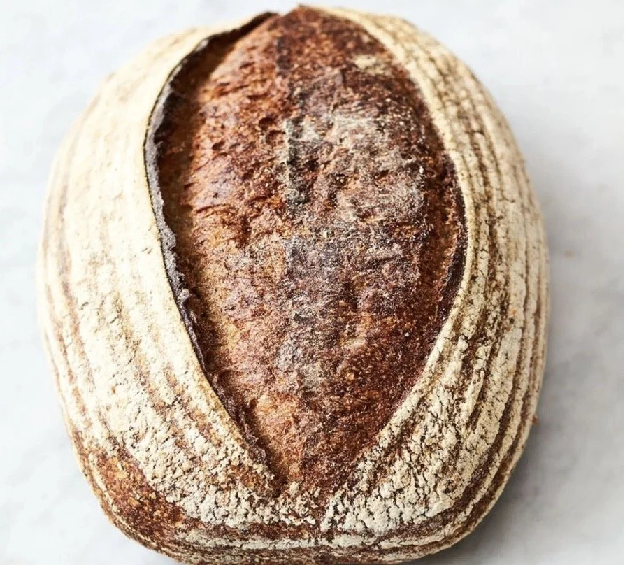 Image 2025-11-26 at 7.53 AM.jpeg