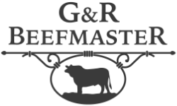 Herd Sires G R Beefmaster