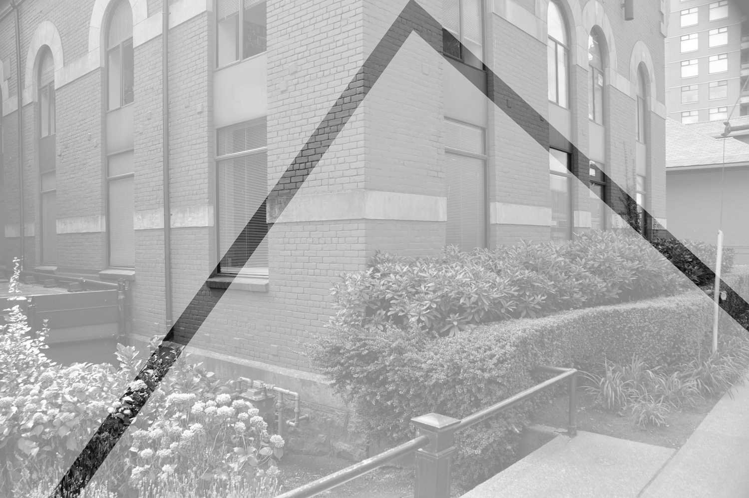 building.png