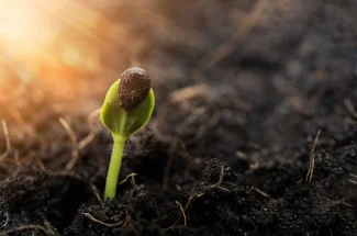 Never too early to plant a seed for the future!