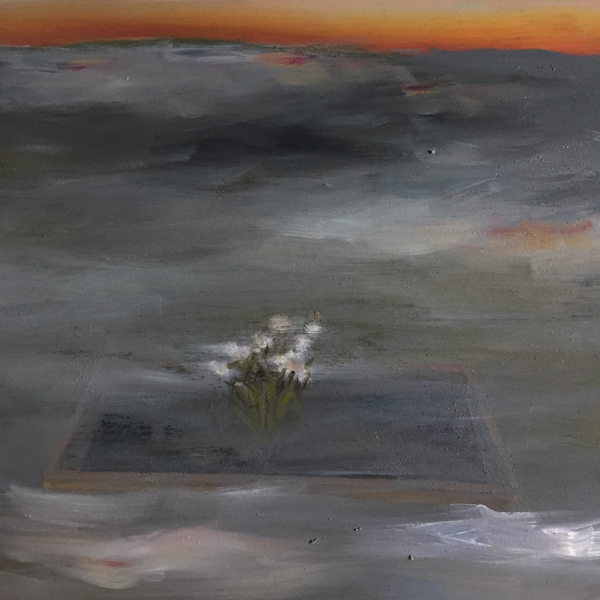 (the way water clings)