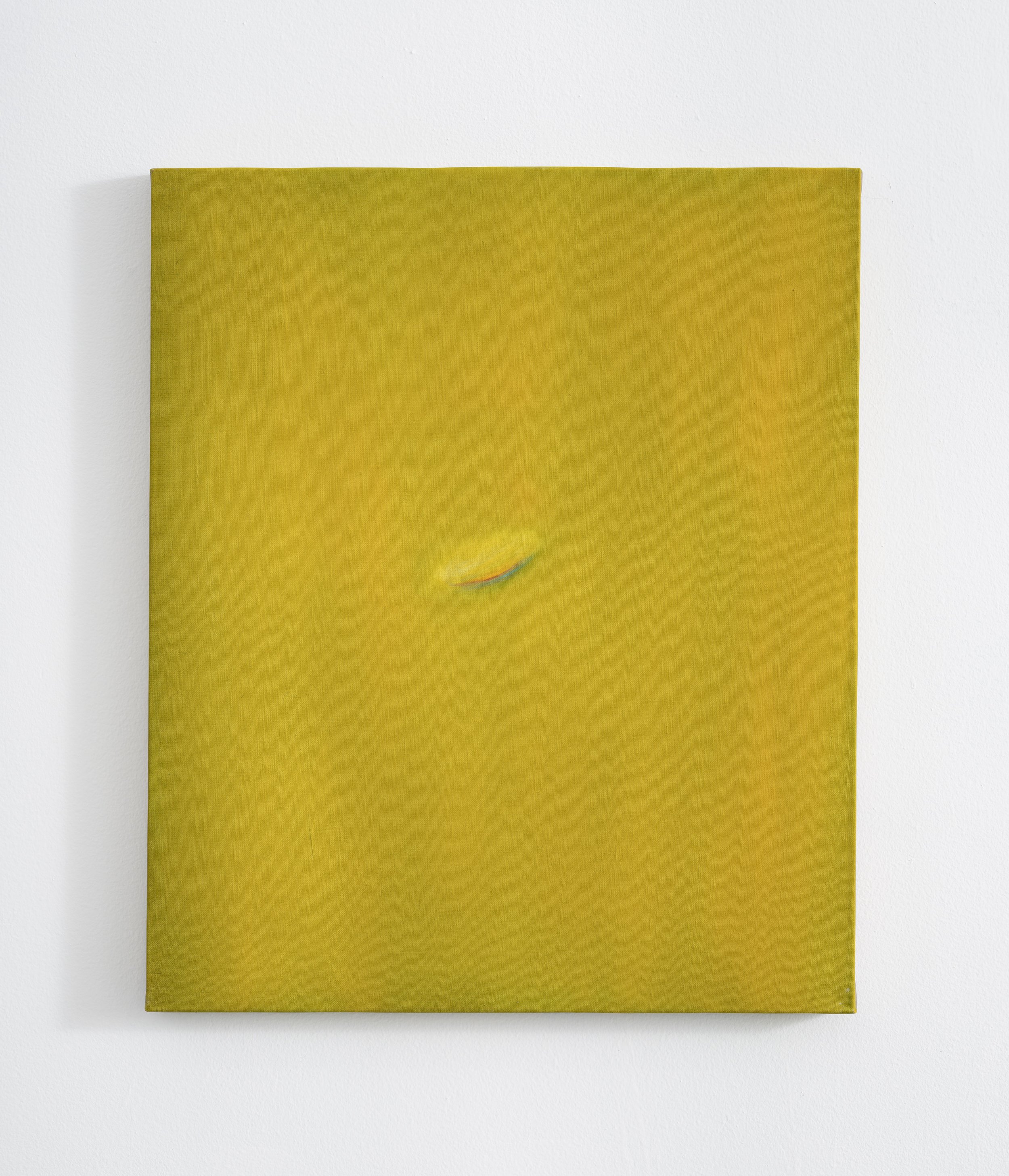  (Belly button glint)  oil on linen  24”x 20.5”  image courtesy of Lauren Powell Projects 