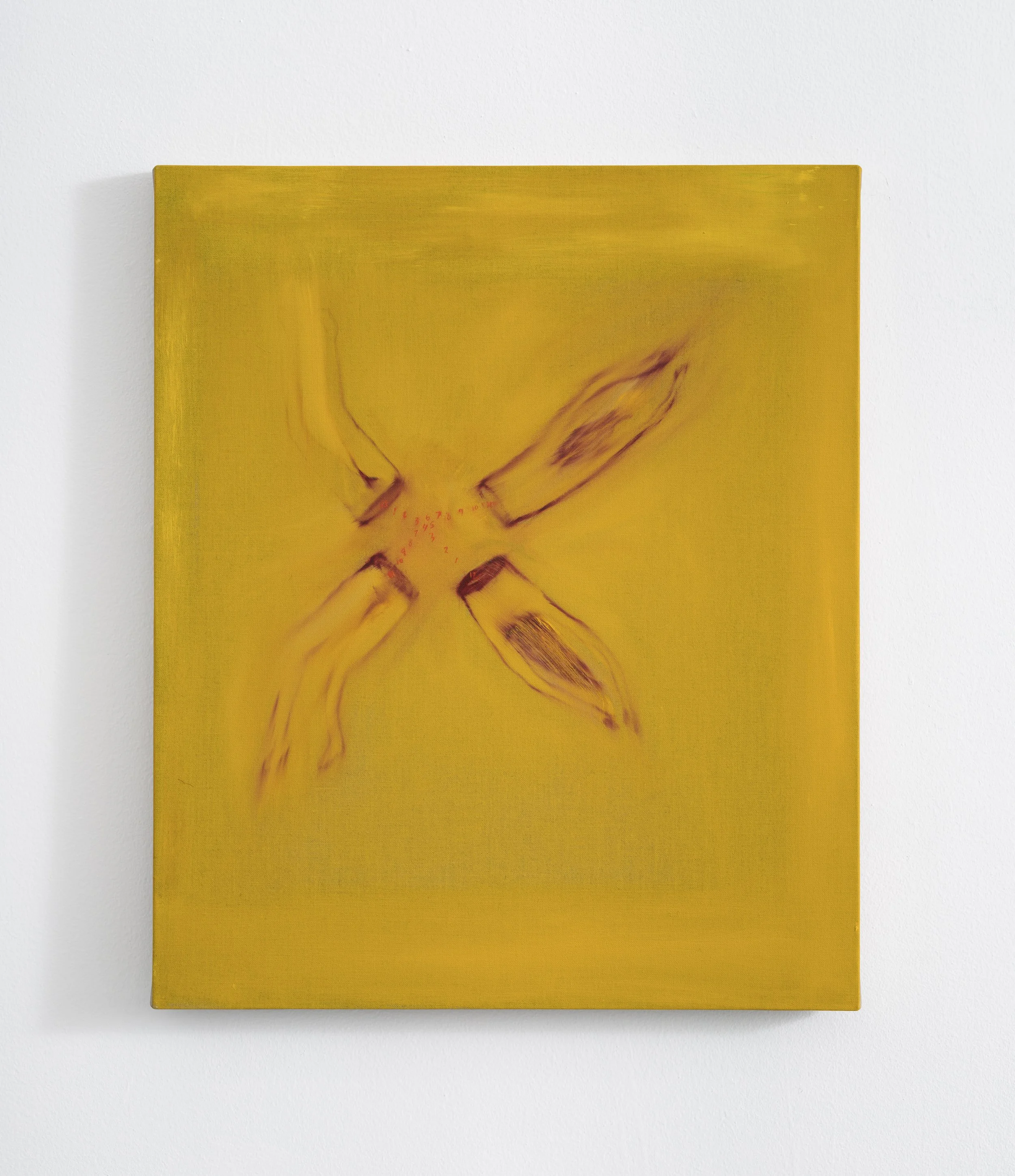  Tingly tangle time  oil on linen  24”x20.5”  image courtesy of Lauren Powell Projects 