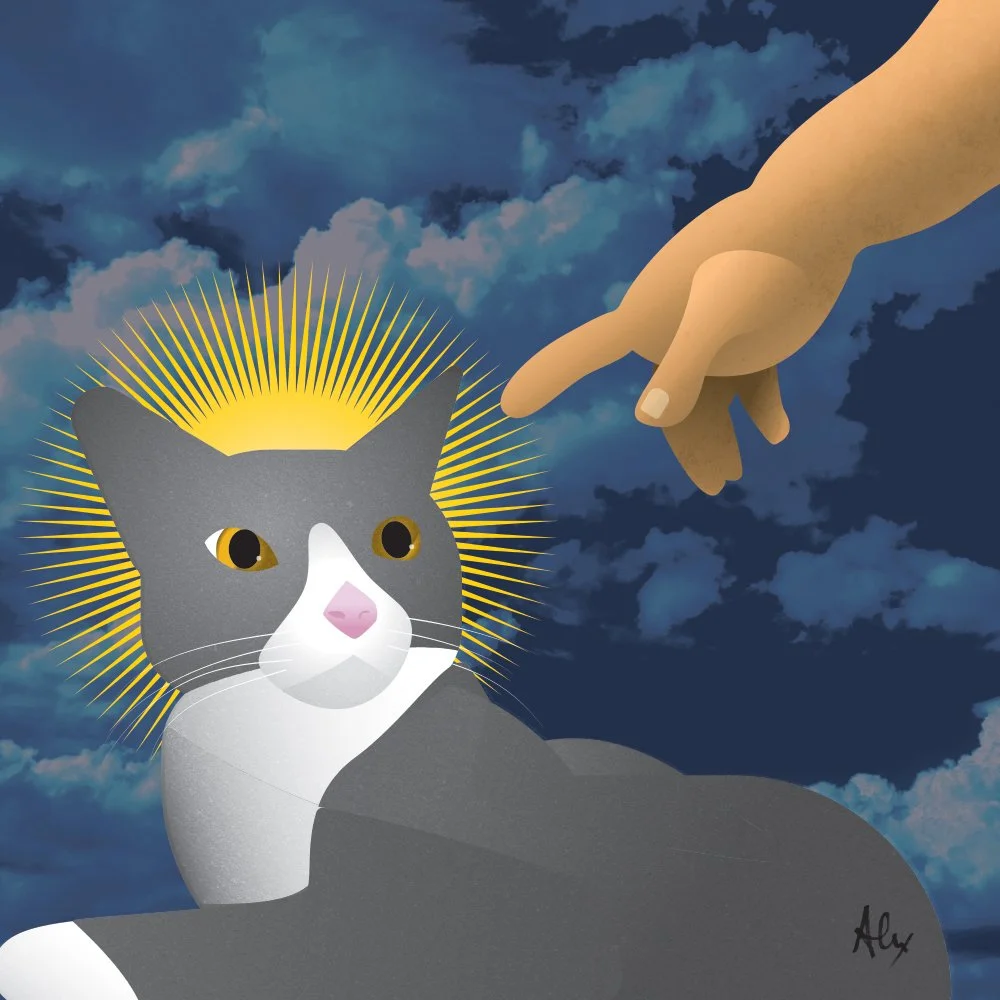 vector-charlie-FINAL.jpg