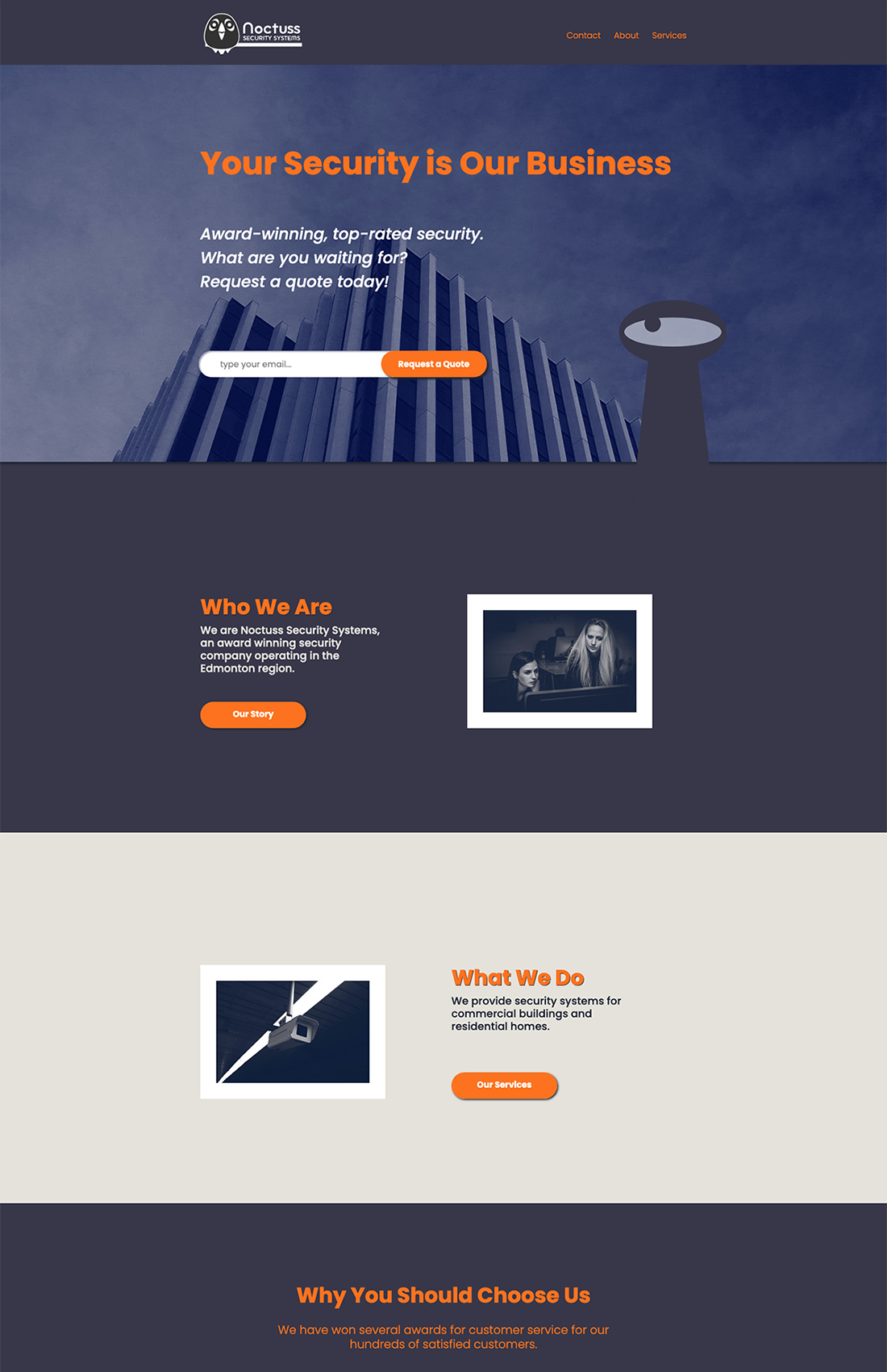 Noctuss Security Website Concept