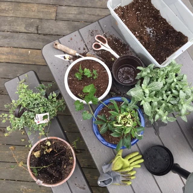 Balance With "Obstacles"