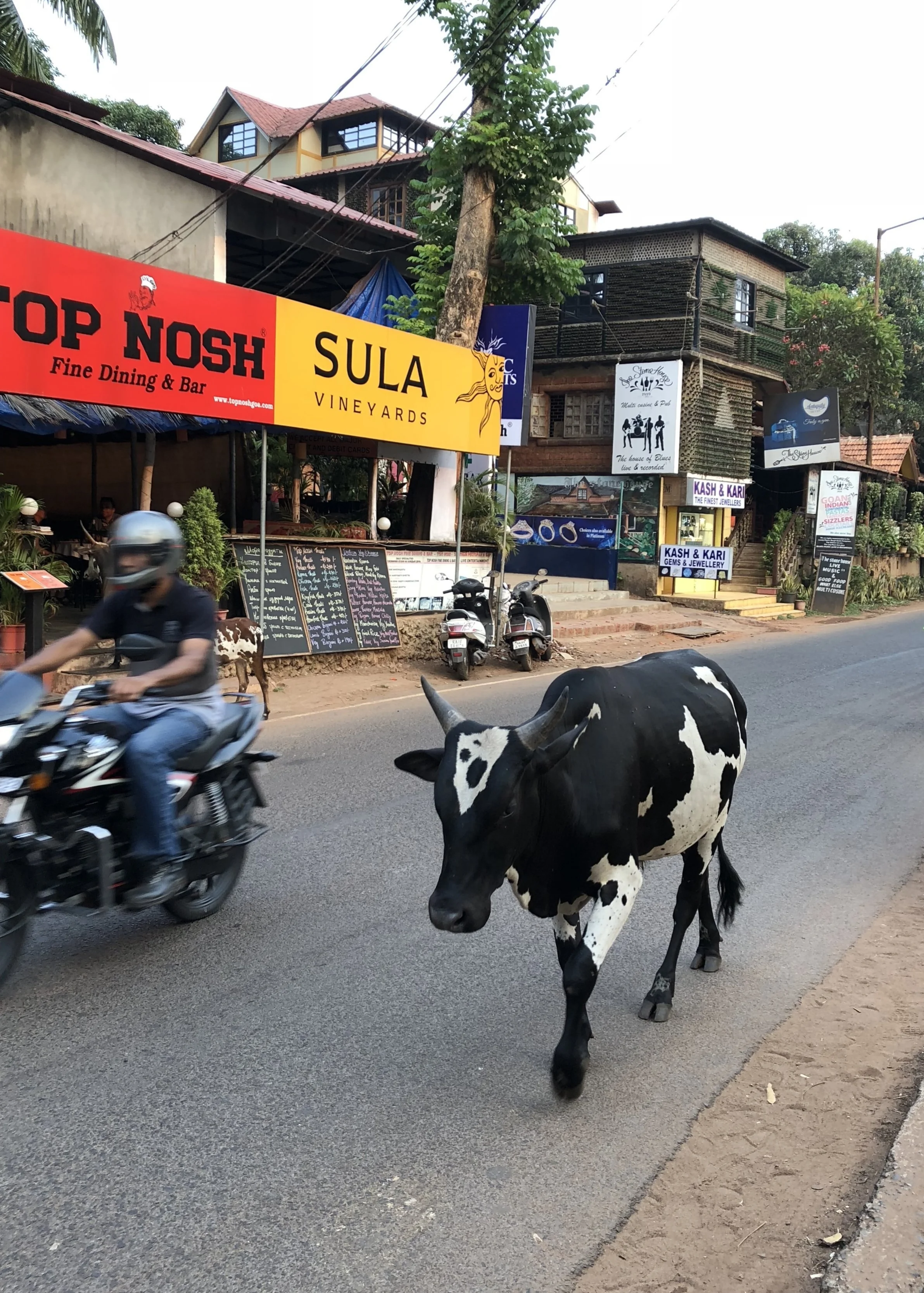 Traffic in Goa