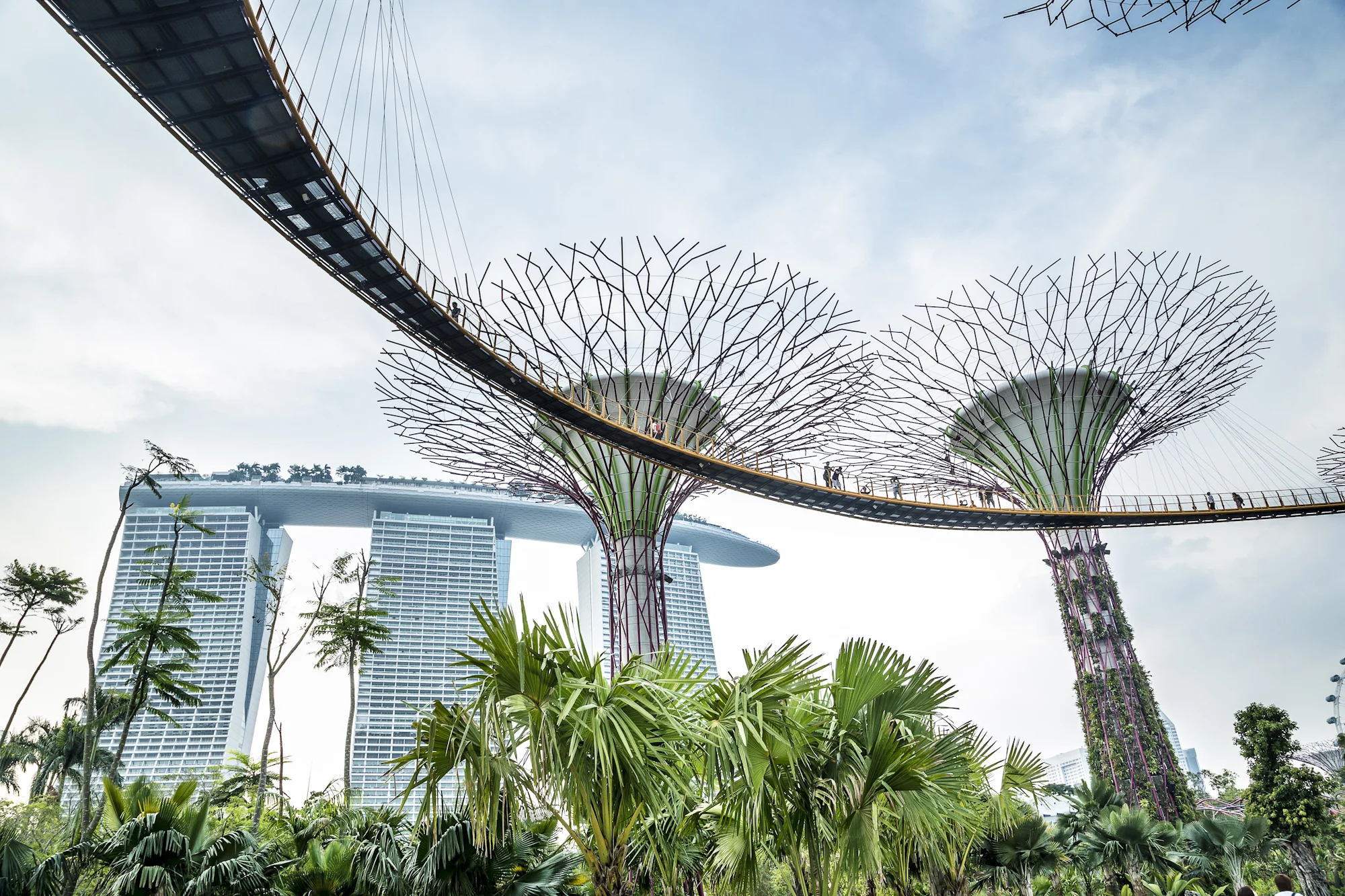 Singapura 9411