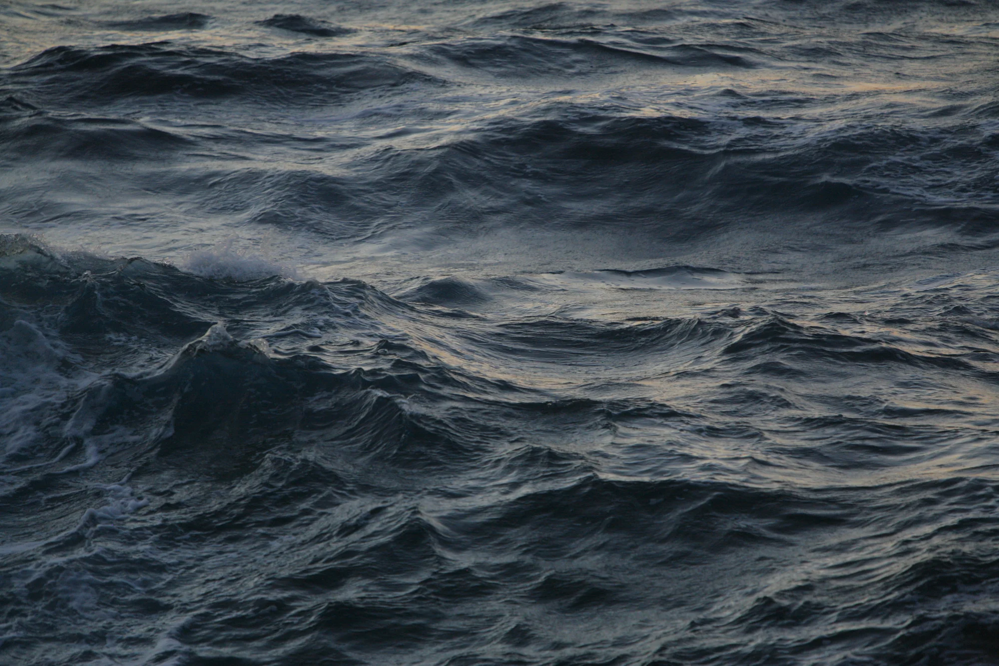 Greece_Ikaria 2008_071.jpg