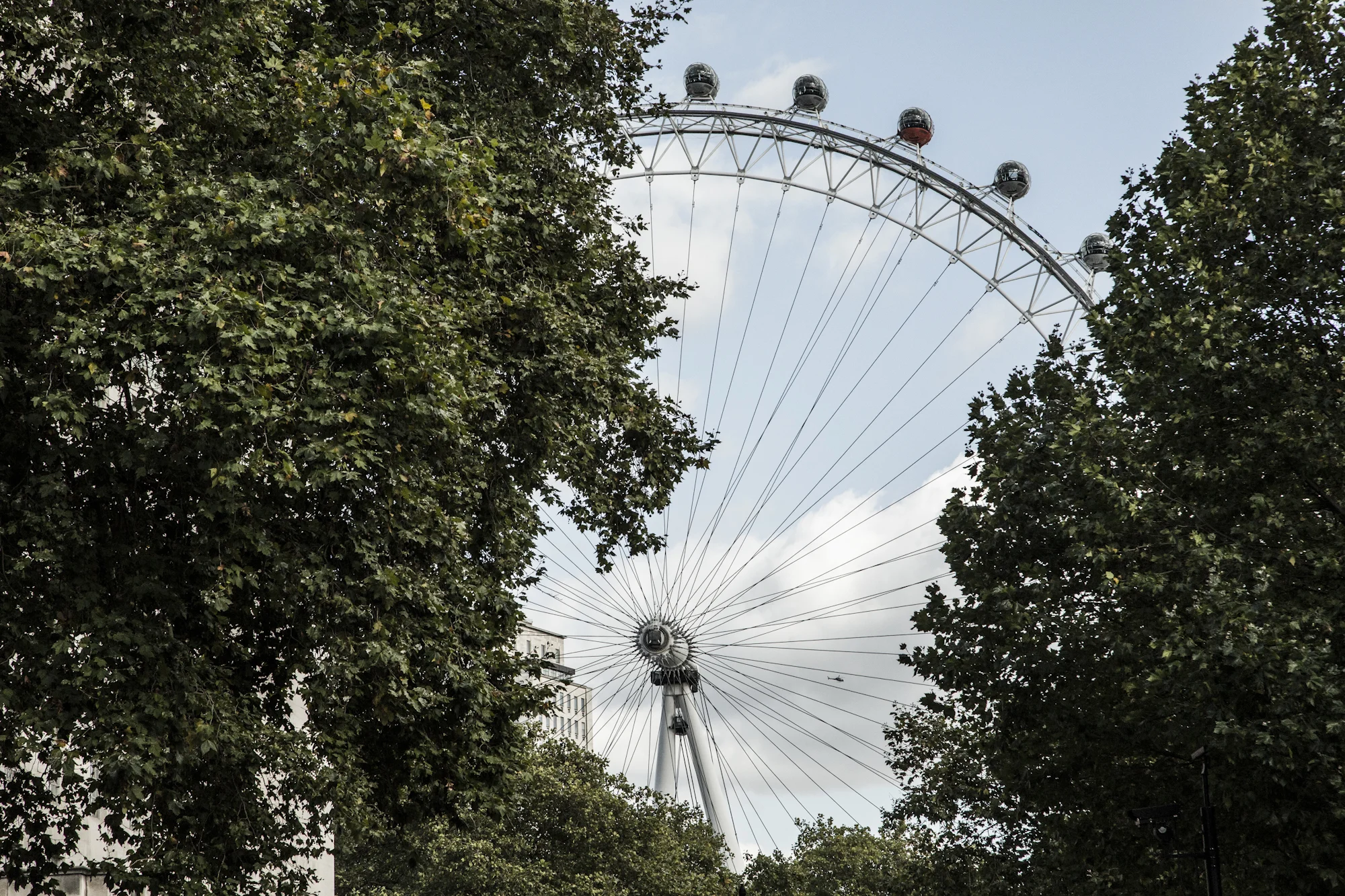 Londres 8062